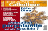 perpétuelle - France Catholique · d’emploi de 50% des 55-64 ans en 2010 ... pas l'économie des questions les plus difficiles. ... des jeunes gens de la Rose Blanchedont la figure
