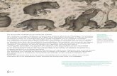 De la morale chrétienne au traité de chasseclasses.bnf.fr/rendezvous/pdf/Bestiaire1.pdf · La littérature sur les animaux prend un tournant au xive siècle avec l’apparition