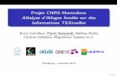 Projet CNRS-Mastodons ANalyse d'IMages fondée sur …icube-web.unistra.fr/cs/img_auth.php/2/20/Animinitex_Srasbourg... · Domaine : Traitement Automatique du Langage Naturel et Fouille