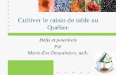 Cultiver le raisin de table au Québec - culturinnov.qc.caculturinnov.qc.ca/sites/culturinnov.qc.ca/files/fichiers-attaches/... · Phytosanitaires. - Dommages mécaniques de maladies