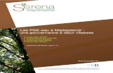 Les PSE-eau à Madagascar : une gouvernance à deux vitesseshorizon.documentation.ird.fr/exl-doc/pleins_textes/divers16-10/... · une gouvernance à deux vitesses A.Toillie (IRD,