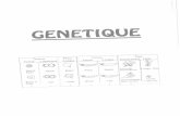 22BW-5e-20160122162139amicale-sciences.fr/wp-content/uploads/2016/07/Génétique.pdf · 5-a : Que pouvez-vous conclure sur la transmission du caractère couleur du pelage chez les