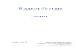 I)flocorse.free.fr/SAV/rapport de stage.doc · Web viewRapport de stage BAC PRO 1er année par Lavigne Florent Auteur : YU Jun -3-Title I) Author boutghourd-shm Last modified by Florent