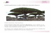 L’arbre guérisseur multi-millénaire bientôt disparu · C’est l’arbre divin des anciens Égyptiens, de la Bible et du ... bonnes huiles essentielles. ASTUCES ... ’est un