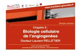 Chapitre 5 : Biologie cellulaire de l’angiogenèseunf3s.cerimes.fr/media/paces/Grenoble_1112/pelletier_laurent/... · Chapitre 5 : Biologie cellulaire de l’angiogenèse Docteur