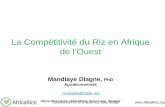 La Compétitivité du Riz en Afrique de l’Ouest - ipar.sn · Africa Rice Center (AfricaRice), Saint Louis, Sénégal Conférence Riz IPAR, 12- 14 Janvier 2016, Dakar, Sénégal.