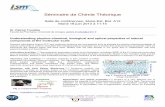 Séminaire de Chimie Théorique - Bienvenue · Séminaire de Chimie Théorique Salle de ... kinetics is also evaluated providing a better prediction of the antioxidant behaviour in