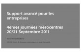 Support avancé pour les entreprises 4èmes journées ...calcul.math.cnrs.fr/Documents/Journees/sept2011/bousquet_2011.pdf · – 950 kh.CPU 10/2007 - 09/2008 ... CRIHAN - 143 noeuds