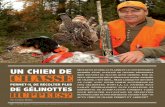 UN CHIEN DE - Un élevage familial et professionelbourfield.ca/wp-content/uploads/2012/02/Aventure-Chasse-Peche-Vol... · qu’un chien de chasse permet d’y arriver? CHASSE PERMET-IL