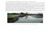 2. L’EROSION DES BERGES : Phénomènes, … · 2013-11-13 · types de profils de cours d’eau en fonction de différentes variables. 19 ... (courbes des rivières, piles et culées