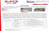 COLLE DE REPRISE - ACCROCHAGE - dacd.com colcim-1.pdf · reprise de bétonnage après arrêt en cours de travaux, COLCIM est applicable sur le bois; joints et scellements étanches