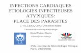 INFECTIONS CARDIAQUES ETIOLOGIES …collegebvh.org/system/files/fichiers/document/fichiers/villena.pdf · XVIe Journée de Microbiologie Clinique Paris, 24/06/2011 ... Guérison spontanée