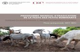 PROGRAMME MONDIAL D’ÉRADICATION DE LA PEsTE DEs … · MPR Maladies des petits ruminants NEALCOConseil régional de l’élevage pour le nord et l’est de l’Afrique OCE Organisations