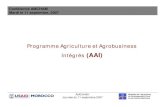 Programme Agriculture et Agrobusiness Intégrés (AAI)Chemonics).pdf · Marketing •Information sur ... • Positionnement sur les marchés niches (Produit ethnique, haut de gamme