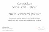 Comparaison semis direct – labour Parcelle …agriculture-de-conservation.com/sites/.../IMG/pdf/...labour-suisse.pdf · Exploitant Yvan Chollet Denis Jotterand ... surface) que