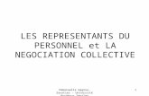 LES REPRESENTANTS DU PERSONNEL - … · PPT file · Web view2012-11-18 · ... Université Bordeaux Segalen Obligations et responsabilité Obligation de discrétion ... Université