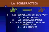 [PPT]LA TORRÉFACTION · Web viewLA TORRÉFACTION 1 - LES COMPOSANTS DU CAFÉ VERT 2 - LES MUTATIONS 3 - LES CHROMATOGRAMMES 4 - LES DIFFÉRENTS TYPES DE TORRÉFACTION 5 - LES NUANCES