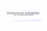 Protection de la Propriété Intellectuelle, Industrielle, …d1n7iqsz6ob2ad.cloudfront.net/document/pdf/537e0ef914db2.pdf · La protection de la propriété intellectuelle de nos