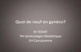 Quoi de neuf en gynéco? - sofomec11.free.frsofomec11.free.fr/Diapos/QUOI DE NEUF 2017/principales_nouveautes... · –Effets sur les dysménorrhées, endométriose(prise continu)