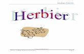 Herbier 2012 - CREPS de POITIERS - Accueil avec fiches 18.pdf · le noyer est un arbre de grande taille sa cime est large et touffue. Il a un tronc généralement ... il devient rougeâtre