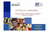 LE CO en vinification - Accueil - Société de médecine ... · MSA Gironde CRAM Aquitaine Anhydride carbonique, gaz carbonique, neige carbonique, carboglace Gaz inodore, incolore,
