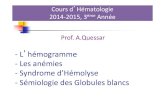 -L hémogramme -Les anémies -Syndrome d’Hémolyse ... · Cours d’Hématologie 2014-2015, 3ème Année Prof. A.Quessar-L’hémogramme-Les anémies-Syndrome d’Hémolyse-Sémiologie