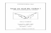 CEFEDEM Rhône-Alpes - maurogiuliani.free.frmaurogiuliani.free.fr/annuaire/pathologies-violoniste.pdf · (Illustration du corps dans sa globalité d’après « Anatomie pour le mouvement