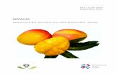 MANGUE - intracen.org · Les bulletins trimestriels du marché de la mangue visent à maintenir les acteurs de cette filière au courant avec les développements des marchés régionaux