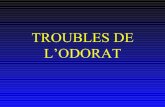 TROUBLES DE L’ODORAT - dcem1p7.free.frdcem1p7.free.fr/ORL/Odorat.pdf · Introduction • Importance des saveurs et des odeurs dans notre société • Biologie moléculaire: progrès