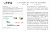 La Newsletter du Réseau des Mycologues de la …€¦ · L’initiative Katana-champignon au Kivu ………..….… 3 Développement du laboratoire de ... création d’une filière