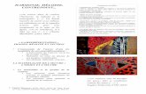 HARMONIE, MÉLODIE, CONTREPOINT · contrepoint. […]. La bonne manière ... 1 Wassily Kandinsky (1866-1944), Du spirituel dans l’art et dans la peinture en particulier, 1912, Paris,