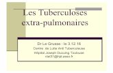 Les Tuberculoses extra-pulmonaires - splf.frsplf.fr/wp-content/uploads/2016/12/VI1-J.LEGRUSSE.pdf · Les Tuberculoses extra-pulmonaires Dr Le Grusse : le 3.12.16 Centre de Lutte Anti