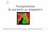 Les toxoplasmoses: du parasite au diagnostic - … · Toxoplasmose du parasite au diagnostic D1 2010 Marie Machouart, Service de Parasitologie - Mycologie, CHU Brabois •Protozoaire