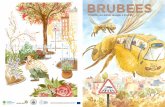 BRUBEES – Protection des abeilles ... - srbe-kbve.be collaboration/Brubees... · rues de votre quartier, des lieux particuliers près de chez vous ? Observez les fleurs du printemps