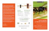LE FRELON ASIATIQUE - gourdon06.fr · • Activité réduite des abeilles en protection, ... Où retrouver toutes les informations utiles près de chez vous ? ... Vous êtes propriétaire,