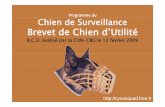 Programme du brevet de chien d'utilité - FPACSfpacs.com/wp-content/uploads/2016/03/bcu.pdf · de la cachette, effectue une palpation de sécurité (mesure de sécurité pour le conducteur