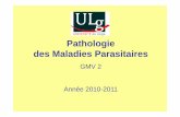 Pathologie des Maladies Parasitaires - ULg · Option : Les maladies parasitaires des Bovins, Petits Ruminants, Porcs et Oiseaux 2ème Doctorat – Pathologie des maladies parasitaires
