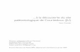 à la découverte du site paléontologique de Courtedoux …archivesma.epfl.ch/2009/017/chariatte_enonce/enonce.pdf · Table des matières...à l’image d’une découverte Prospection