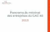 Panorama du mécénat des entreprises du CAC 40 2013admical.org/sites/default/files/uploads/...2013.pdf · 2 Panorama 2013 du mécénat des entreprises du CAC 40 Publié en janv.