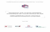 Diagnostic sur le développement économique de l'Ile …cci-paris-idf.fr/sites/default/files/etudes/pdf/documents/srde... · Il a été élaboré sur la base des contributions et