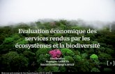 Léa Tardieu SupAgro- LAMETA lea.tardieu@supagro.inra.fr 1 · Emergence du concept de service écosystémique RI- années 60 : Absence de l’environnement dans les modèles économiques,