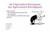 De l'Agriculture Biologique aux AgricultureS · PDF fileDe l'Agriculture Biologique aux AgricultureS BiologiqueS ... • Définition des objectifs • Création de variabilité •