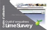 Outil d’enquêtes LimeSurvey · L’outil LimeSurvey, permet de créer rapidement des questionnaires et des enquêtes en ligne qui pourront recevoir les réponses de dizaines de