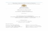 ETUDE QUANTO CHIMIQUE Corrélation structure …theses.univ-oran1.dz/document/TH2765.pdf · République Algérienne Démocratique et Populaire Ministère de l’Enseignement Supérieur