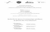 GERBER Marie 2016 ED414 - publication-theses.unistra.fr · Le virus de la bursite infectieuse : un exemple d’empaquetage aléatoire ..... 69 2.2. Le virus de l’immunodéficience