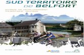 2017/2020 - cc-sud-territoire.fr · 2 Schéma de développement touristique de la CCST 2017/2020 : fiches actions ... dossier (le CD90, la ... (sentier pédagogique), Belfort Tourisme