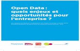 Open Data - mobile.bva.frmobile.bva.fr/data/actualite/actualite_fiche/329/fichier_download... · être nommée ‘Big Research’, tandis que ce récent développement de ... Ce livre