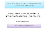 ANATOMIE FONCTIONNELLE ET BIOMÉCANIQUE DU COUDEs502503c1c2c1db36.jimcontent.com/.../anatomie-fonctionnelle-coude.pdf · ANATOMIE FONCTIONNELLE ET BIOMÉCANIQUE DU COUDE Dr MAAREF