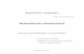 RAPPORT ANNUEL - montsegurfinance.com Annuel 2017 - Montsegur... · Christian Dior et LVMH) dont les principales qualités demeurent la visibilité des revenus, bénéfices et ...