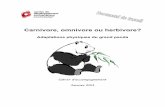 Adaptations physiques du grand panda · Le bambou, source de nourriture unique du panda, se développe seulement entre 500 et 3 100 mètres d'altitude. Une paire de pandas (un mâle